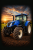 NH t6.png